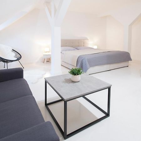דירות Litoměřice U Zlate Hvezdy Apartman Jungmann מראה חיצוני תמונה