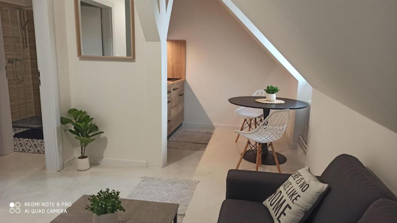 דירות Litoměřice U Zlate Hvezdy Apartman Jungmann מראה חיצוני תמונה