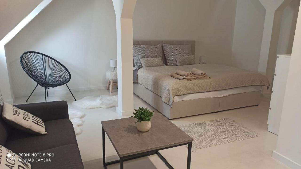 דירות Litoměřice U Zlate Hvezdy Apartman Jungmann מראה חיצוני תמונה